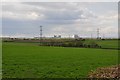 Sedgemoor : Grassy Field & Countryside in TA5 2PZ