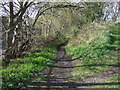 Footpath off the A695 in NE42 6RL