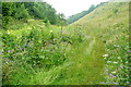 Bridleway in Gratton Dale in Gratton