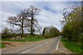 The road past Underhill Farm in Stanford on Soar