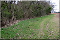 The edge of Foxcote Wood in MK18 5HF