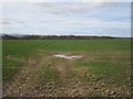 Arable land, Kinkell in PH3 1EA