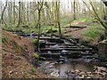 Cascades of stream in Penllergaer Forest in Llangyfelach Community