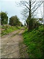 Footpath to the Downs from Fittleton in SP4 9PU