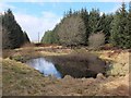 Pond in Nether Stewarton forest in EH45 8PP