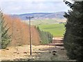 Power  line in forest ride, Nether Stewarton in EH45 8PP