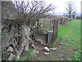 Memorial Stone near Llangwyfan #1 in Llandyrnog Community