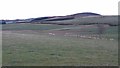 Fields beneath Benaquhallie in AB31 4RR