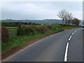 Trees lining the road to North Tawton in EX20 2AA