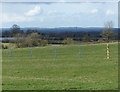 Fields north of Ashby Parva in LE17 5HX