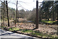Pond on Wokefield Common in RG7 3DU