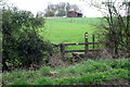 Part of the Cublington Spinney circular walk in MK18 3XZ