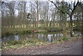 Small pond, Toll Wood in TN33 9QB