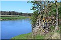 Rock outcrop by the Tweed near Sprouston in TD5 7QA