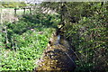 Stream between the fields in MK18 5AG