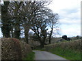 Approaching a turn in the lane, on the National Cycle Route 27 in EX20 4ER
