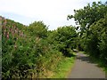 Brunel Trail cycle path near Rosemarket in SA73 1JY