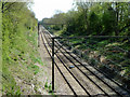 Railway east of Billericay in CM11 2TX