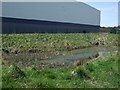 Small pond, Drum Industrial Estate in DH2 1AN