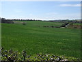 Farmland near Ouston in DH2 1RX