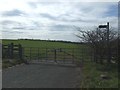Field entrance off the A695 in NE40 3LN
