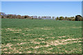 Field north of Chilton Candover in Candovers