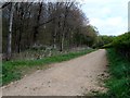 Start of forestry road used as permissive footpath in SG14 2QR