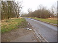 Access road near Harry Ottley Plantation, Goldthorpe in S63 9HX