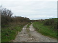 Bridleway heading off the road between Walkhampton and Yelverton in PL20 6JS