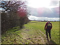The Cotswold Way towards Dursley in GL11 5HD