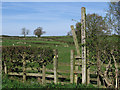 Huthwaite - start of footpath to Newton in DE55 5SD