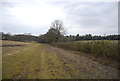 Footpath along the hedge in TN33 9QN