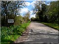 Road into Furneux Pelham in SG9 0LB