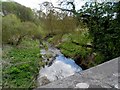 Small stream seen from bridge carrying the B1368 in SG11 2PD