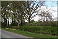 Copse of mostly beech trees near The Poplars in LN8 6BJ