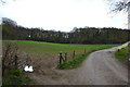 Footpath at Combe Bottom, Bradford Peverell in DT2 9SD