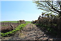 Track to Machardyne Cottages in DG9 9ND