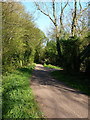 Byway through Jubilee and Normanton woods in Ravenstone with Snibstone