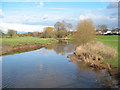 River Weaver on the north of Nantwich in CW5 6GW