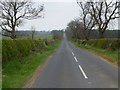 Quiet country road in NE67 5EB