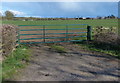 Gate and field along Ullesthorpe Road in LE17 5JD
