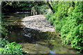 Weir on the stream through Horton in TA19 9RX