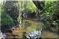 Stream by Paull's Lane in TA19 9SA