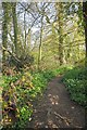 Primrose Path, Great Totham in Great Totham