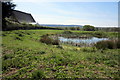 Pond behind Neroche Hall in Bickenhall