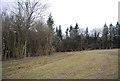 The edge of Link Wood in TN33 9QN