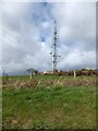 Telecommunications mast near Hilltown Cross in EX20 1SL