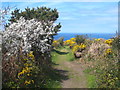 Footpath leading to the coast path at Polberrow in TR5 0SR