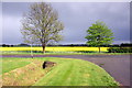 Oil seed rape by Flitwick Road in MK45 2XF