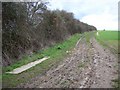 Hedge and Farm Track in Brington and Molesworth